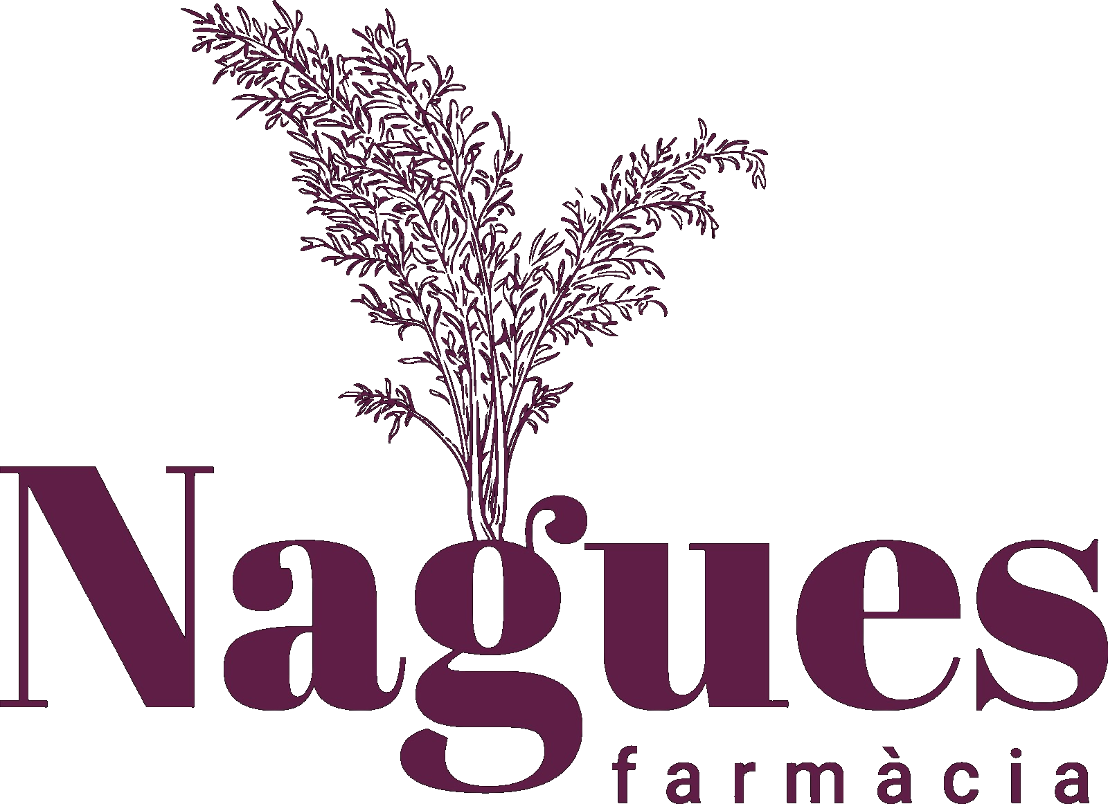 FarmaciaNaguesTrans